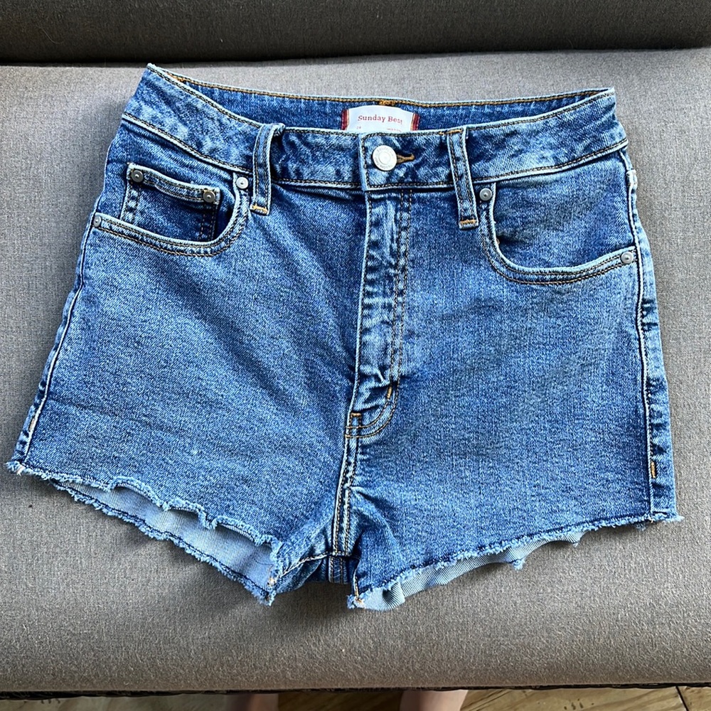 Aritzia’s Sunday Best Denim Shorts
